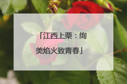 江西上栗：绚美焰火致青春
