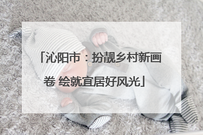 沁阳市：扮靓乡村新画卷 绘就宜居好风光