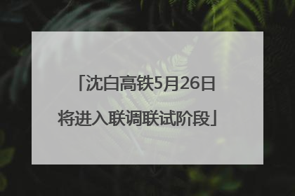 沈白高铁5月26日将进入联调联试阶段