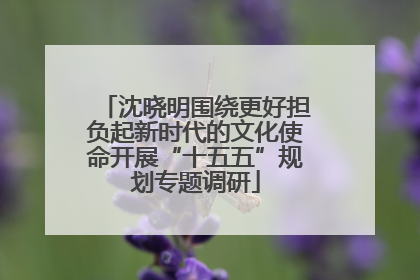 沈晓明围绕更好担负起新时代的文化使命开展“十五五”规划专题调研