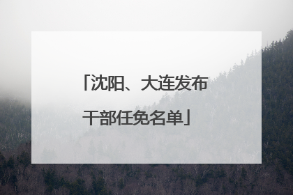 沈阳、大连发布干部任免名单