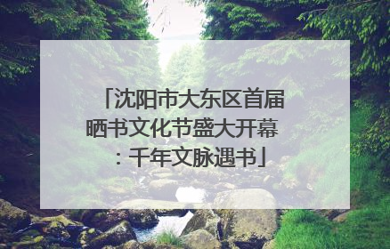沈阳市大东区首届晒书文化节盛大开幕：千年文脉遇书