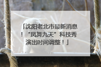 沈阳老北市最新消息！“凤舞九天”科技秀演出时间调整！