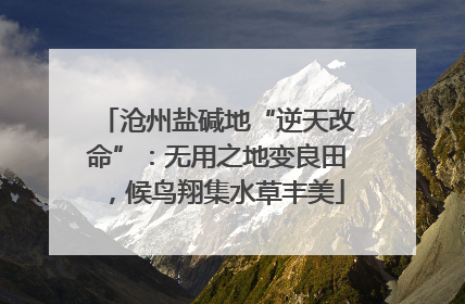 沧州盐碱地“逆天改命”：无用之地变良田，候鸟翔集水草丰美