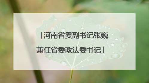 河南省委副书记张巍兼任省委政法委书记