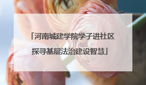 河南城建学院学子进社区 探寻基层法治建设智慧