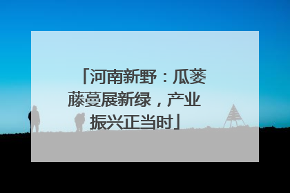 河南新野：瓜蒌藤蔓展新绿，产业振兴正当时