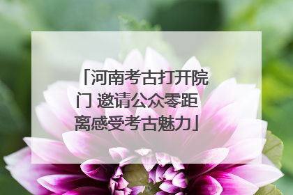 河南考古打开院门 邀请公众零距离感受考古魅力