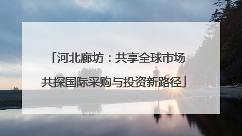 河北廊坊：共享全球市场 共探国际采购与投资新路径