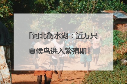 河北衡水湖：近万只夏候鸟进入繁殖期