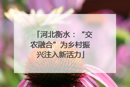 河北衡水：“交农融合”为乡村振兴注入新活力