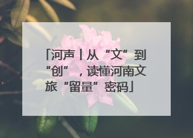 河声丨从“文”到“创”，读懂河南文旅“留量”密码
