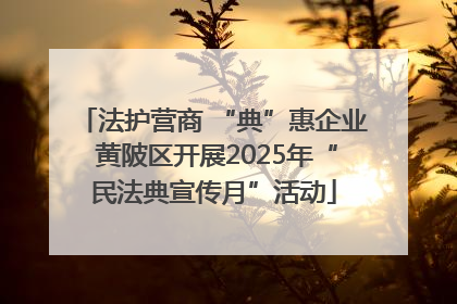 法护营商 “典”惠企业 黄陂区开展2025年“民法典宣传月”活动