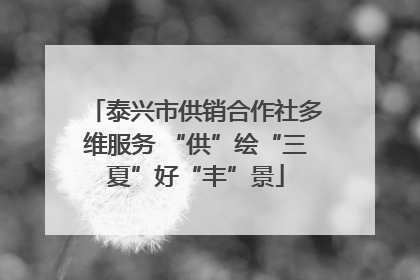 泰兴市供销合作社多维服务 “供”绘“三夏”好“丰”景