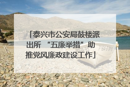 泰兴市公安局鼓楼派出所 “五廉举措”助推党风廉政建设工作