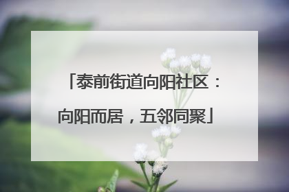 泰前街道向阳社区：向阳而居，五邻同聚