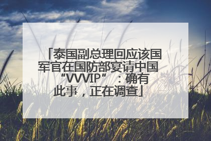 泰国副总理回应该国军官在国防部宴请中国“VVVIP”：确有此事，正在调查
