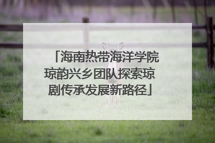 海南热带海洋学院琼韵兴乡团队探索琼剧传承发展新路径