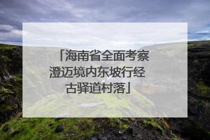 海南省全面考察澄迈境内东坡行经古驿道村落