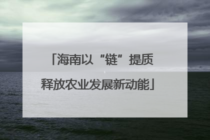 海南以“链”提质 释放农业发展新动能