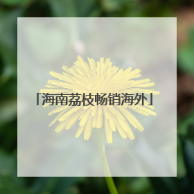 海南荔枝畅销海外