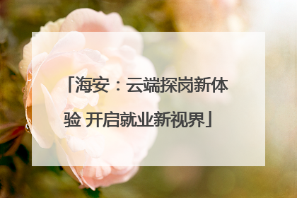 海安：云端探岗新体验 开启就业新视界