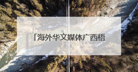 海外华文媒体广西梧州品六堡 探寻千年茶香里的“乡愁味”