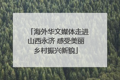 海外华文媒体走进山西永济 感受美丽乡村振兴新貌
