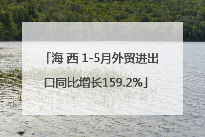 海 西 1-5月外贸进出口同比增长159.2%