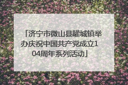 济宁市微山县驩城镇举办庆祝中国共产党成立104周年系列活动