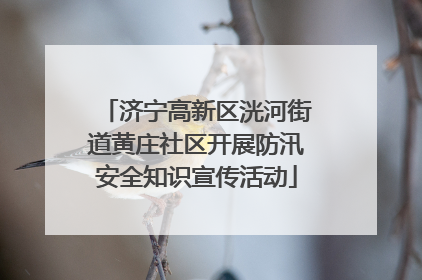 济宁高新区洸河街道黄庄社区开展防汛安全知识宣传活动