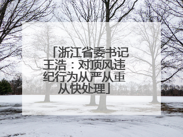 浙江省委书记王浩：对顶风违纪行为从严从重从快处理