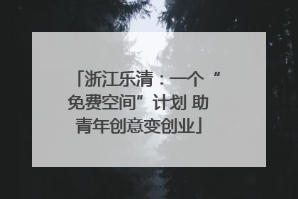 浙江乐清：一个“免费空间”计划 助青年创意变创业
