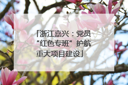 浙江嘉兴：党员“红色专班”护航重大项目建设