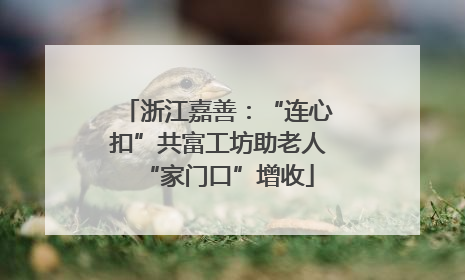 浙江嘉善：“连心扣”共富工坊助老人“家门口”增收