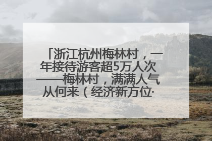 浙江杭州梅林村，一年接待游客超5万人次——梅林村，满满人气从何来（经济新方位·农村消费观察）