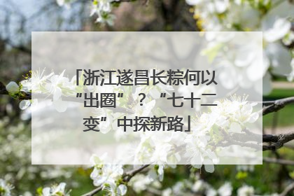 浙江遂昌长粽何以“出圈”？“七十二变”中探新路