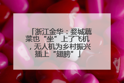 浙江金华：婺城蔬菜也“坐”上了飞机，无人机为乡村振兴插上“翅膀”