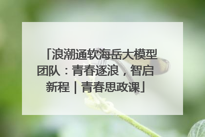 浪潮通软海岳大模型团队：青春逐浪，智启新程｜青春思政课