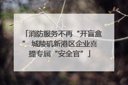 消防服务不再“开盲盒” 城陵矶新港区企业喜提专属“安全官”