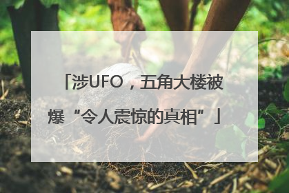 涉UFO，五角大楼被爆“令人震惊的真相”