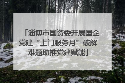 淄博市国资委开展国企党建“上门服务月”破解难题助推党建赋能