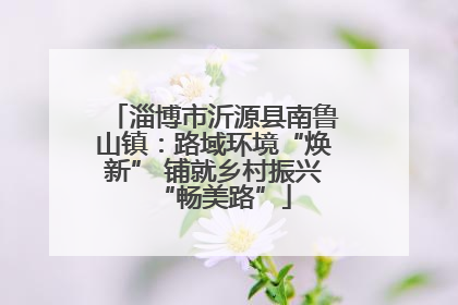 淄博市沂源县南鲁山镇：路域环境“焕新” 铺就乡村振兴“畅美路”