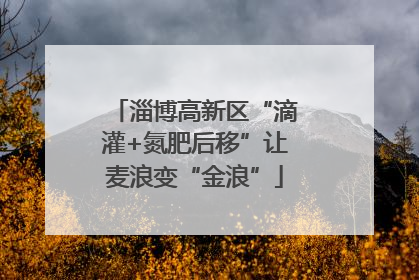 淄博高新区“滴灌+氮肥后移”让麦浪变“金浪”