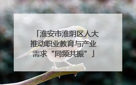淮安市淮阴区人大推动职业教育与产业需求“同频共振”