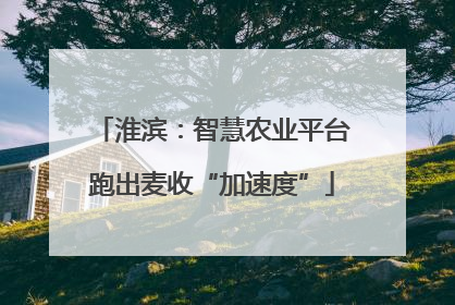 淮滨：智慧农业平台跑出麦收“加速度”