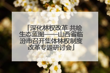 深化林权改革 共绘生态蓝图——山西省临汾市召开集体林权制度改革专题研讨会