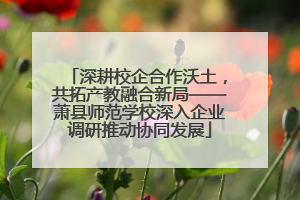 深耕校企合作沃土，共拓产教融合新局——萧县师范学校深入企业调研推动协同发展