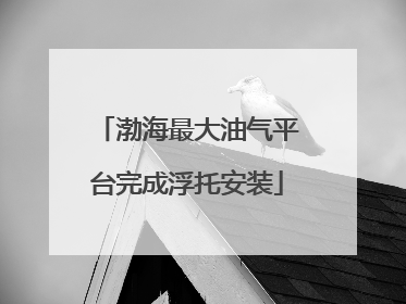 渤海最大油气平台完成浮托安装