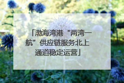 渤海湾港“两湾一航”供应链服务北上通道稳定运营
